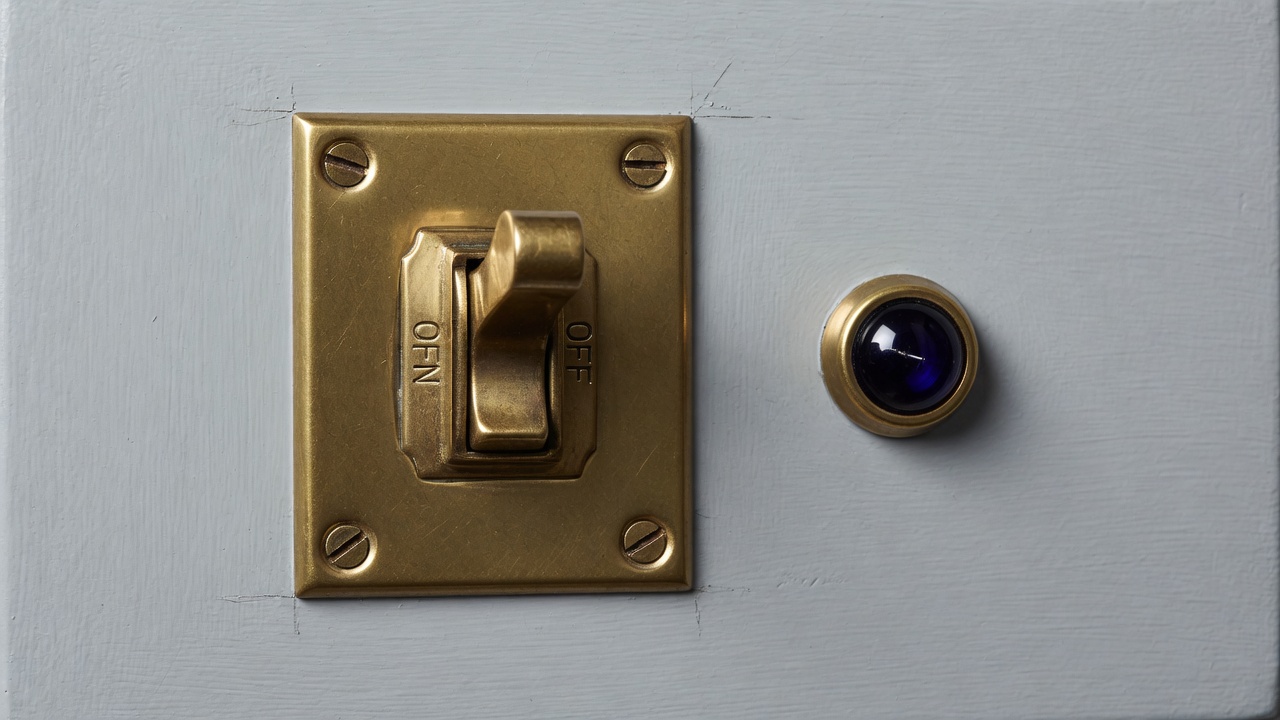 Brass toggle switch on a pale panel with an indigo indicator
